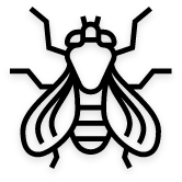 Flies Control